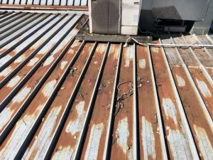 Rusting Roof